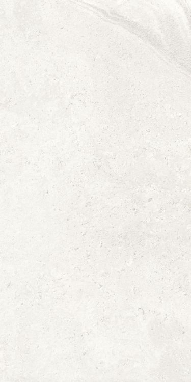 Petra Viva Bone Matte 12 x 24
